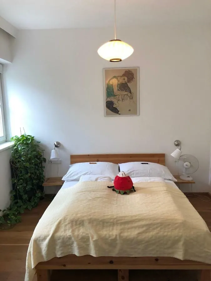 Appartement-Innsbruck Apartment Innsbruck